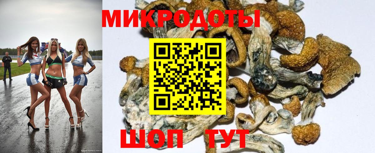 Корсаков  Псилоцибиновые грибы Magic Shrooms  Вход с VPN 